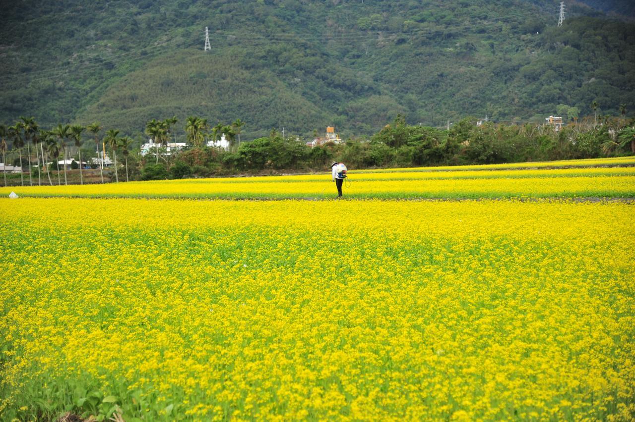 Guanshan Fukuda Homestay Extérieur photo